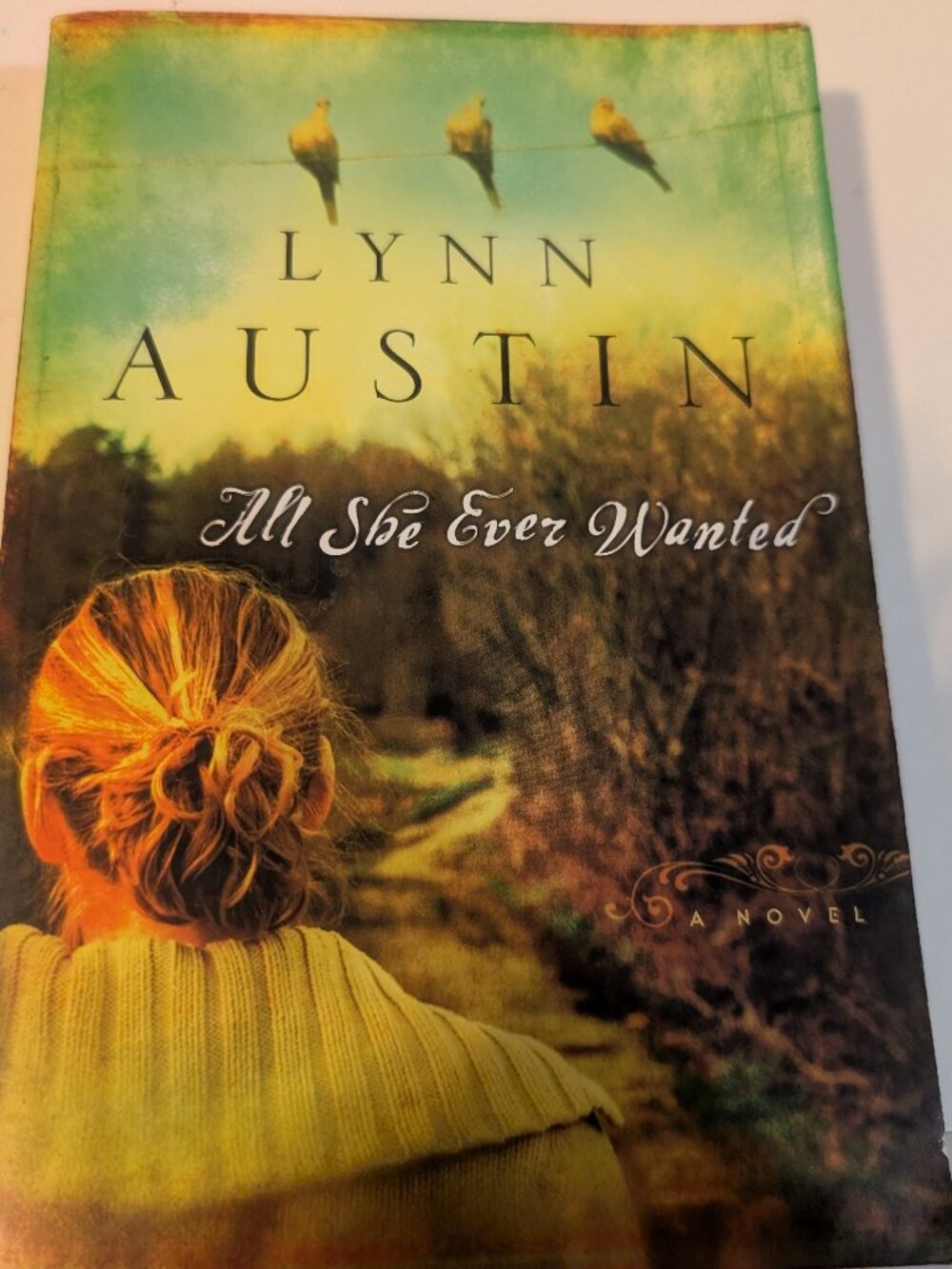 Novel by Lynn Austin